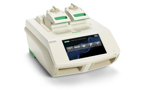 C1000 Touch™ Thermal Cycler with Dual 48/48 Fast Reaction Module